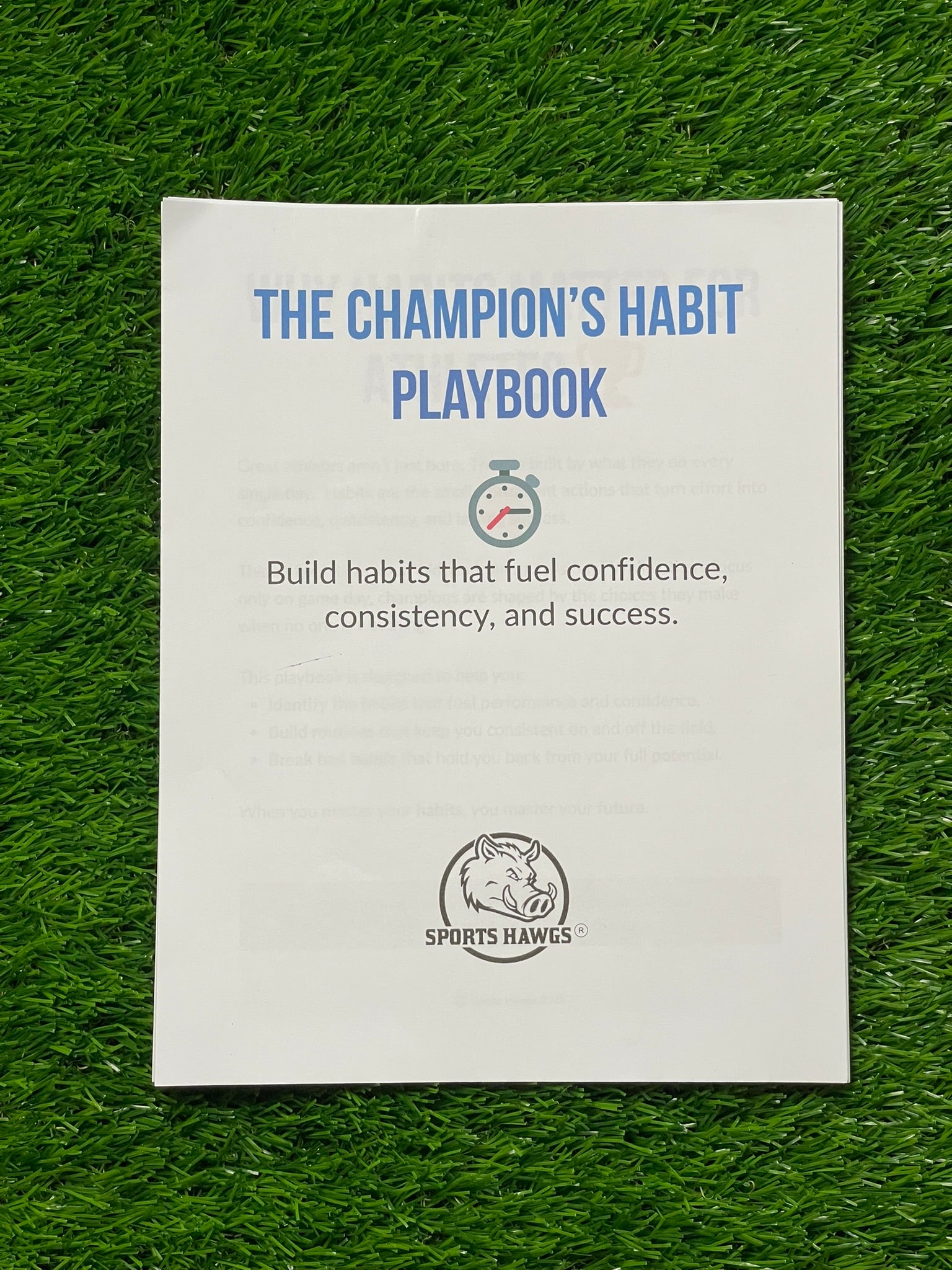The Champion's Habit Playbook (DIGITAL FILE)