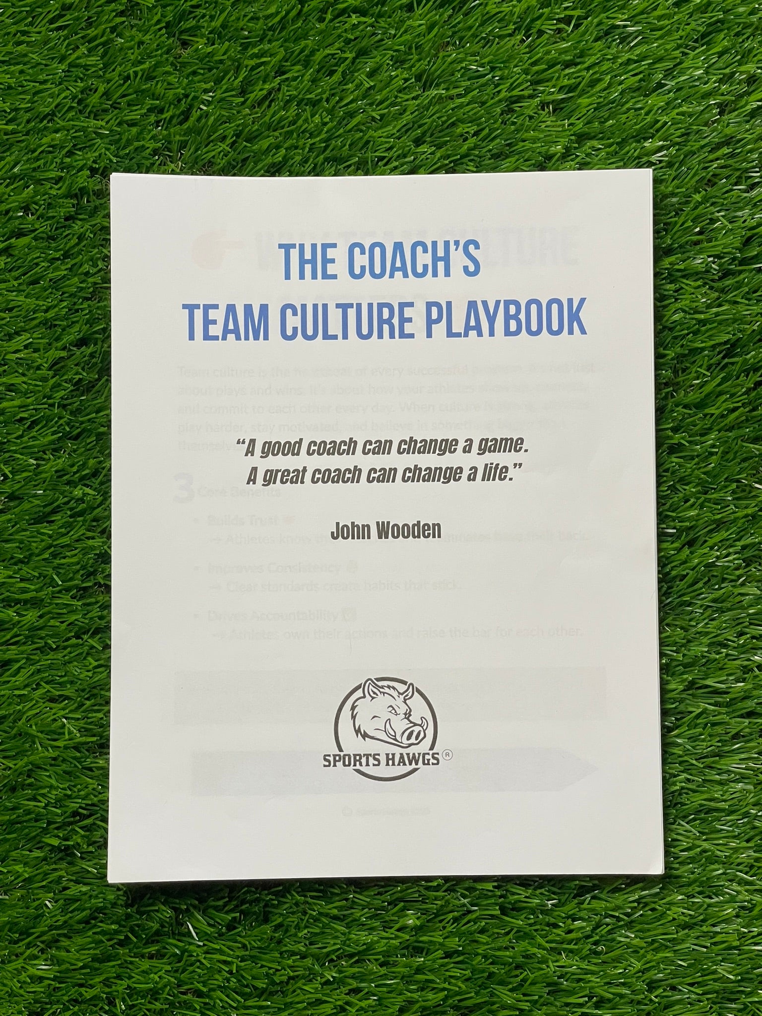 The Coach's Team Culture Playbook (DIGITAL FILE)
