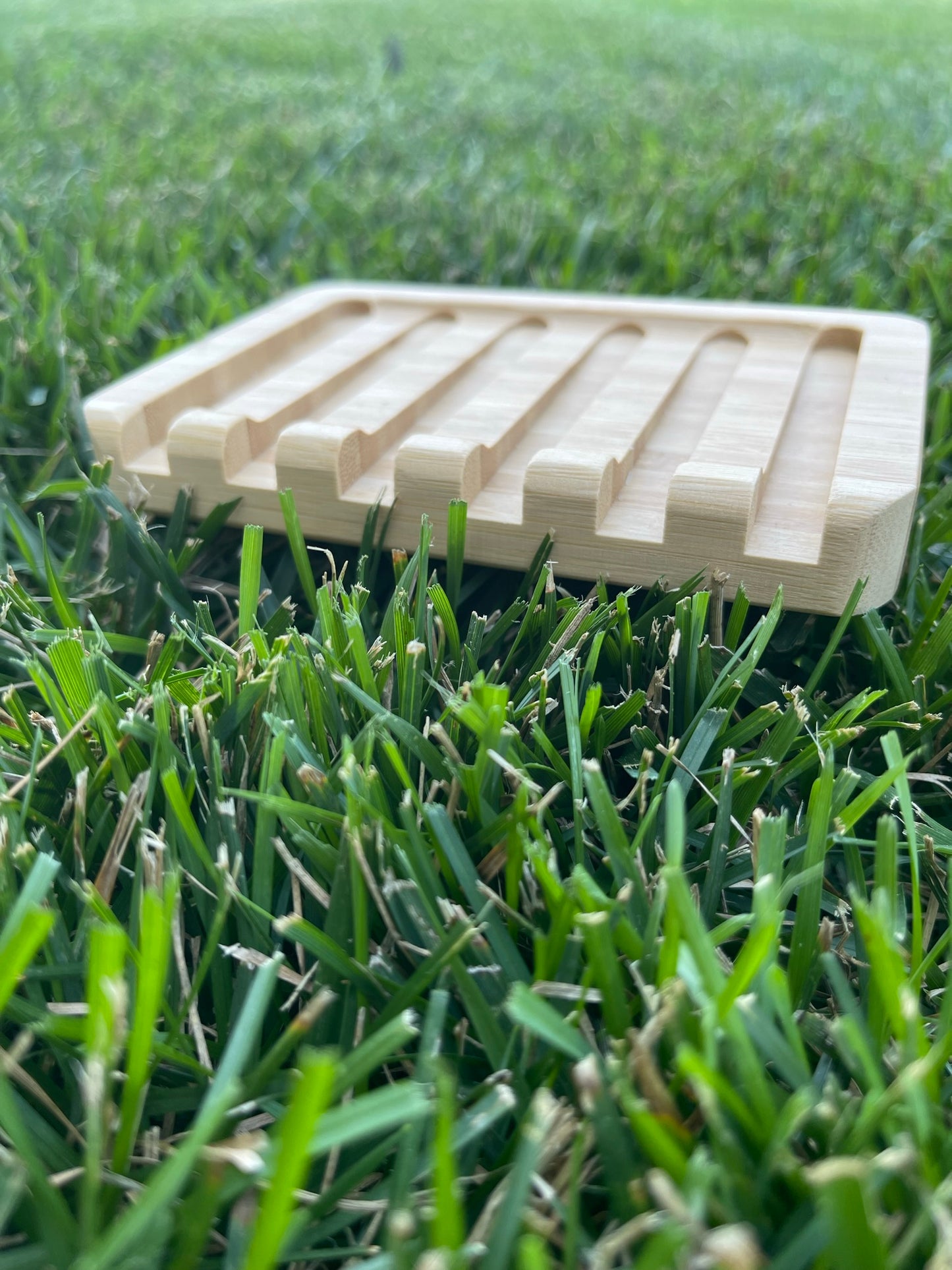GUARDED BAMBOO SOAP DISH