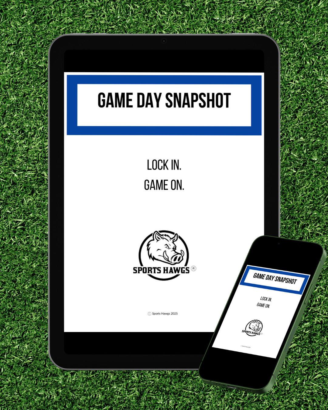 Game Day Snapshot (DIGITAL FILE)