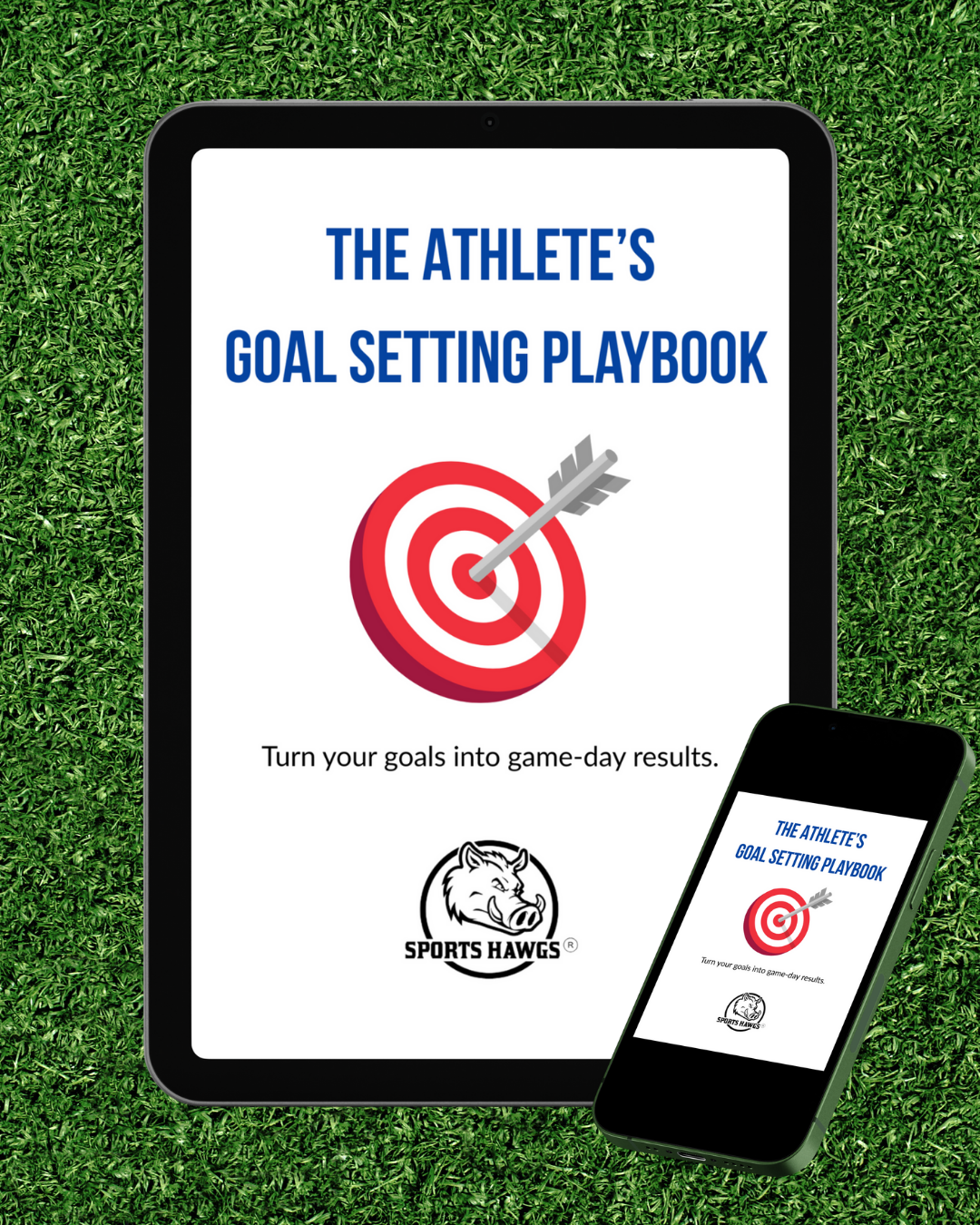 The Athlete's Goal Setting Playbook (DIGITAL FILE)