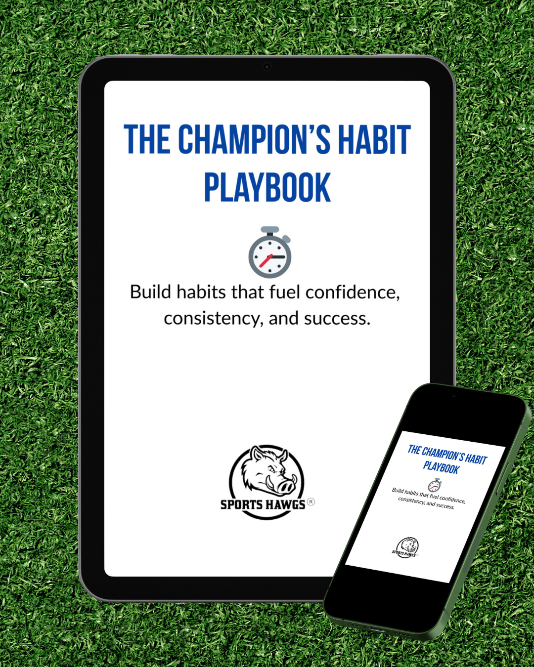 The Champion's Habit Playbook (DIGITAL FILE)